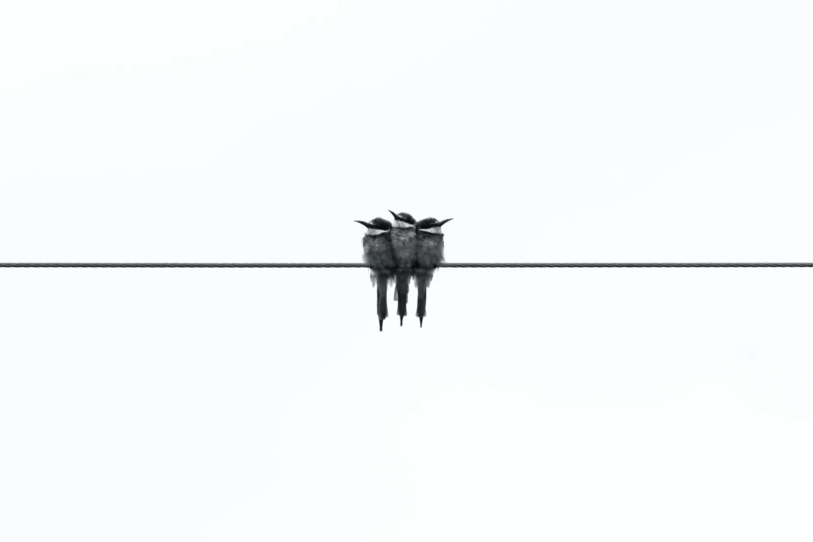 Image by Glen Carrie