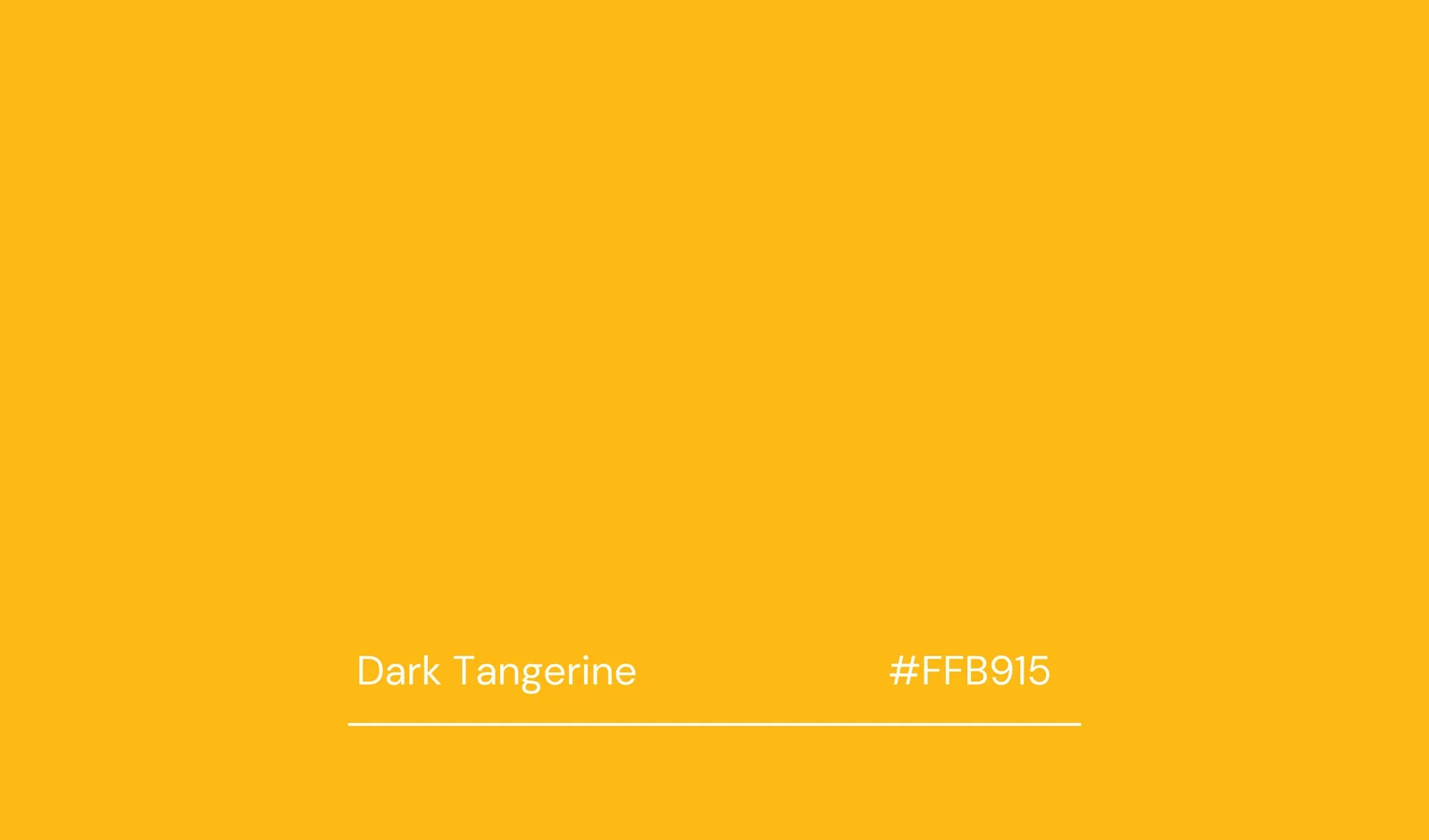 SFT yellow.jpg