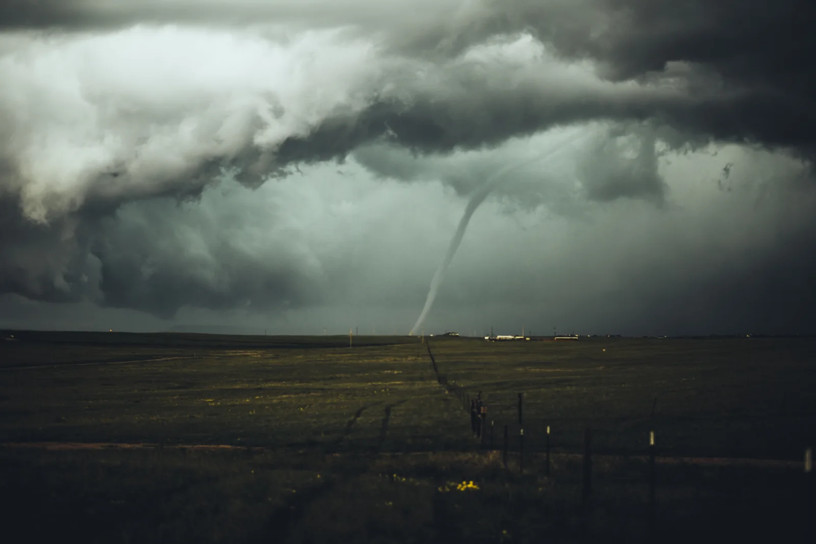 Image by Nikolas Noonan