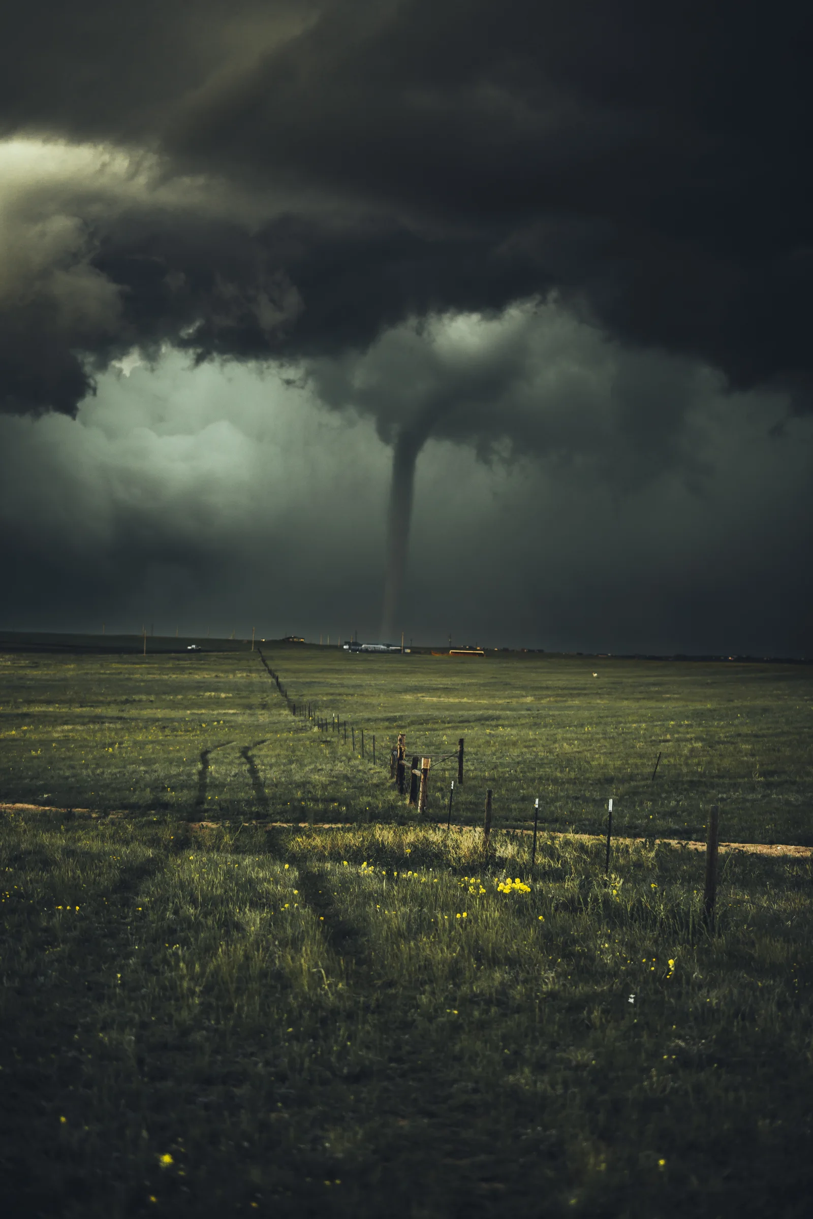 Image by Nikolas Noonan