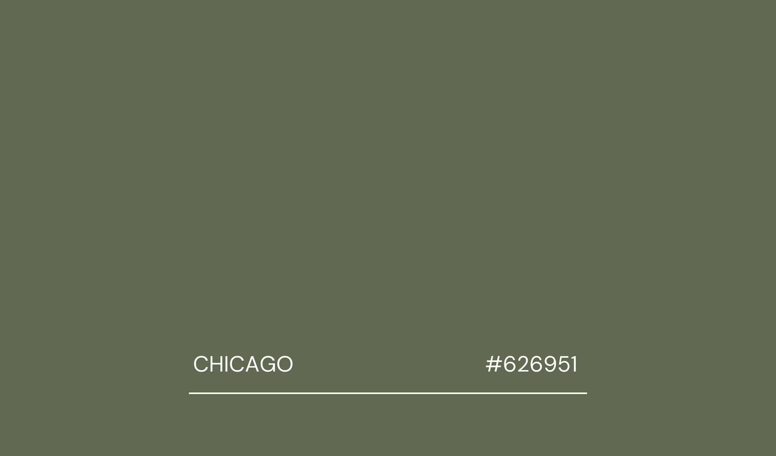chicago birds.jpg