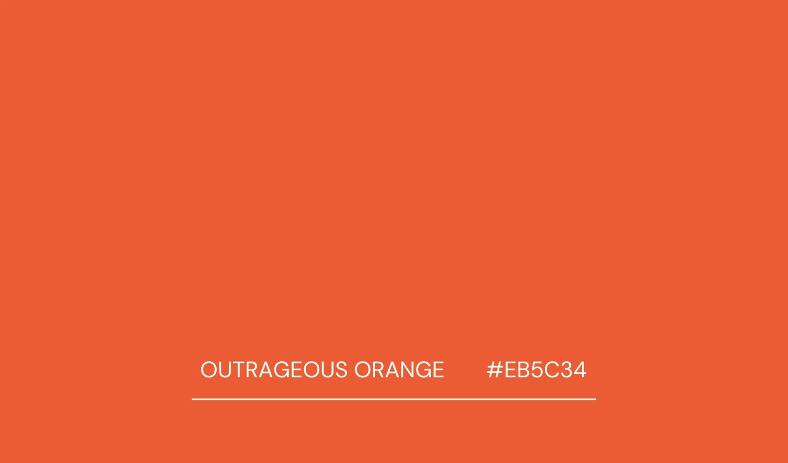 BM orange.jpg